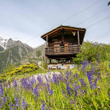 korn-stadel ARIDA PRATA natur pur Grächen Exteriör bild