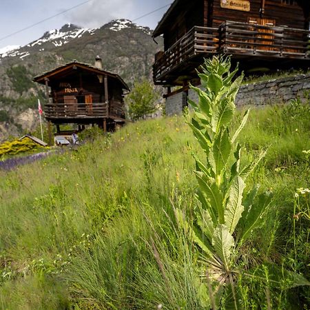 korn-stadel ARIDA PRATA natur pur Grächen Exteriör bild
