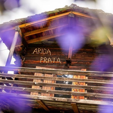 korn-stadel ARIDA PRATA natur pur Grächen Exteriör bild